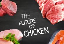 Chicken Proteins Future Among Growing Veganism Trend