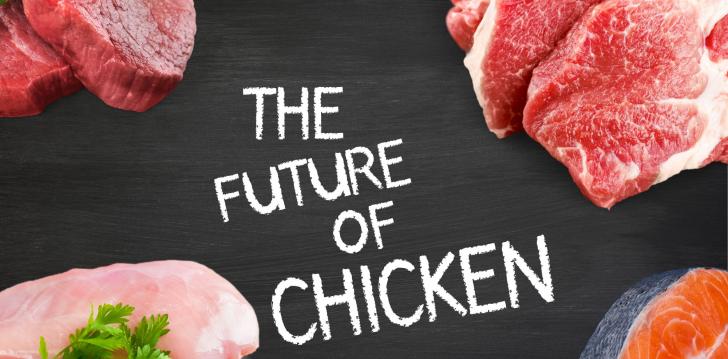 Chicken Proteins Future Among Growing Veganism Trend